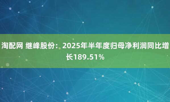 淘配网 继峰股份：2025年半年度归母净利润同比增长189.51%