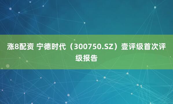 涨8配资 宁德时代（300750.SZ）壹评级首次评级报告