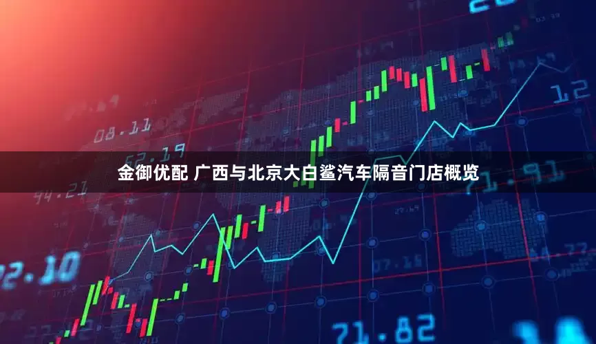 金御优配 广西与北京大白鲨汽车隔音门店概览